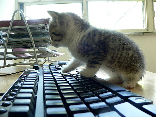 Cat keyboard_ Wikipedia